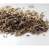 孜然/辣椒/小茴香價格cumin/chilli/Fennel
